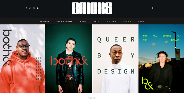 Bricks article